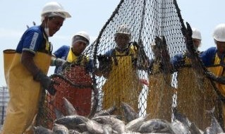 Per una storia della contrattazione collettiva in Italia/130 – CCNL Pesca: tutela della redditività del settore e del potere d’acquisto dei lavoratori